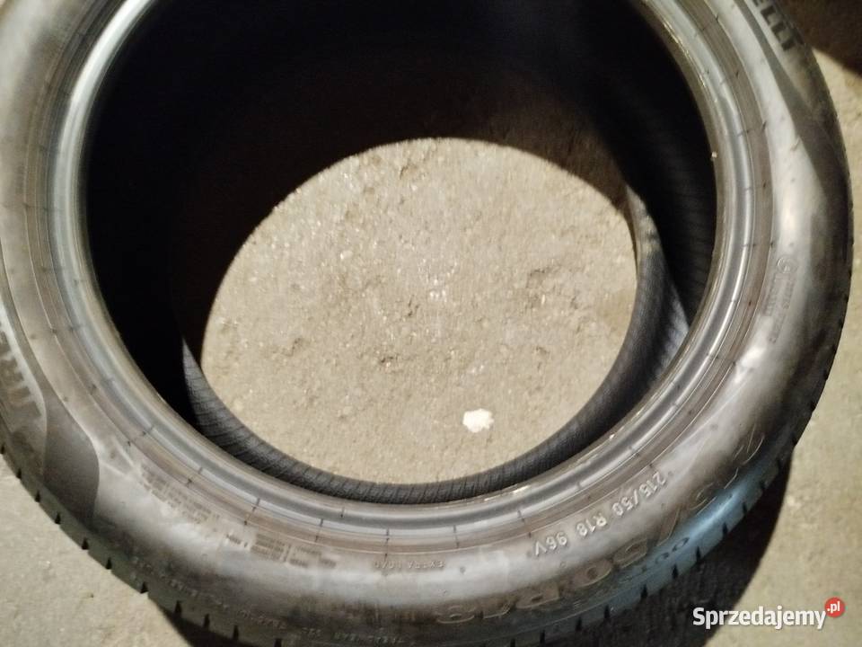 2155018 Pirelli 2021r Lato Komplet Gniewkowo