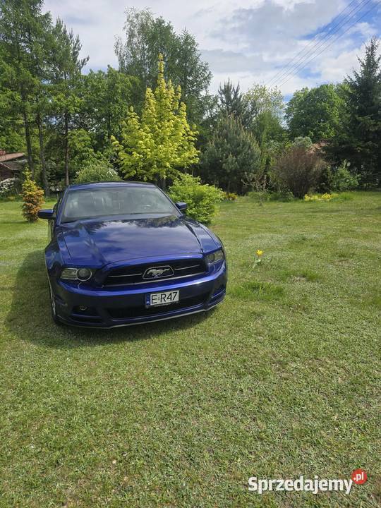Ford Mustang Premium Pony Łódź