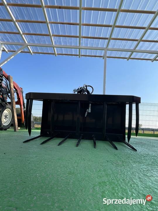 Krokodyl Cayman 12m sprzedam