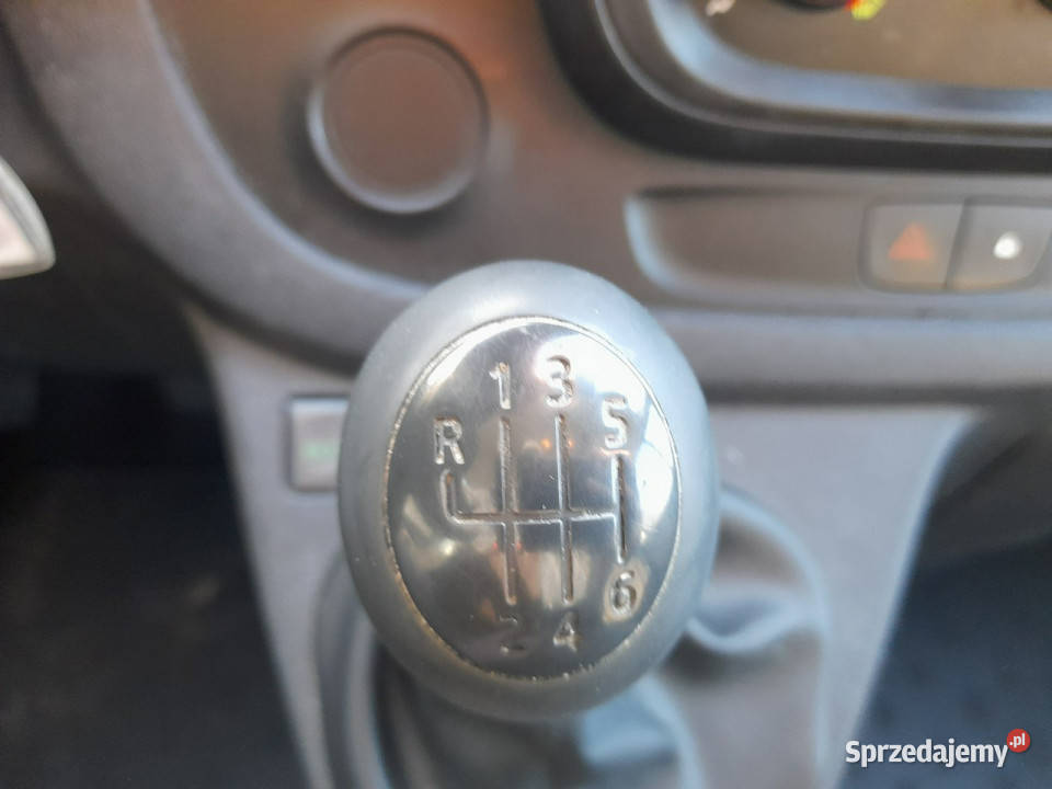 Renault Trafic Przygotowany do rejestracji biały Lipiany