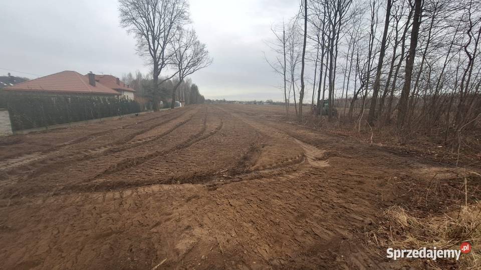 Wycinka drzew materiał śląskie Częstochowa