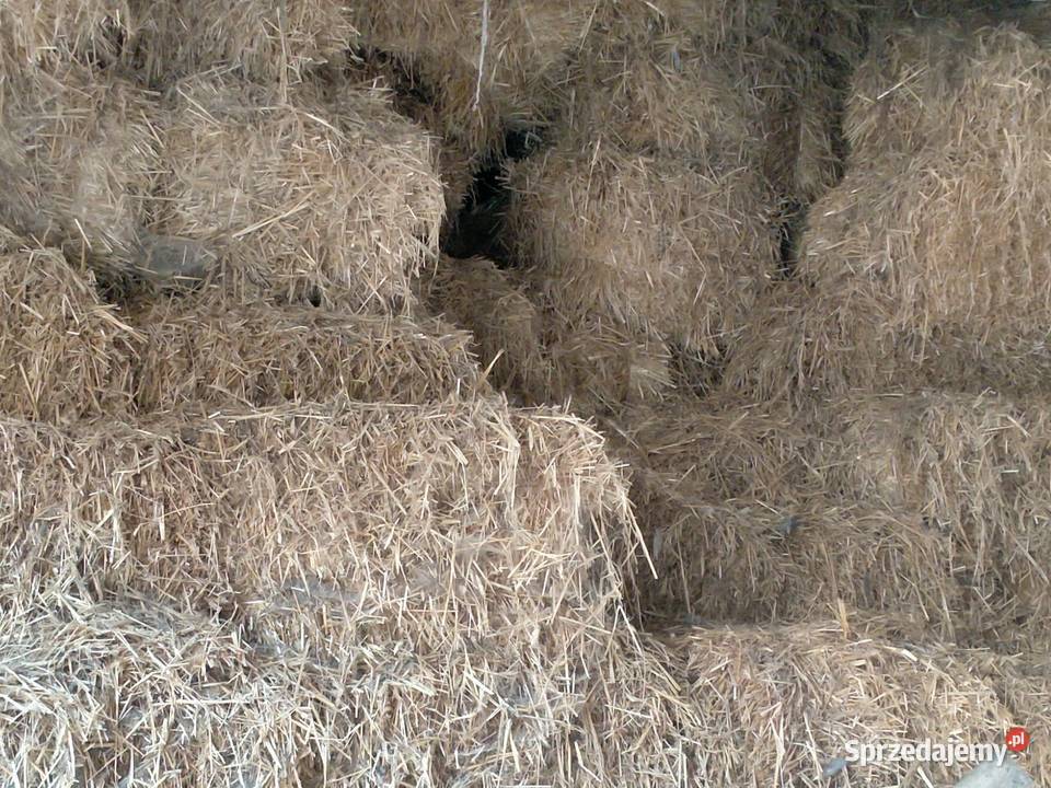 Sprzedam Słome sprzedam