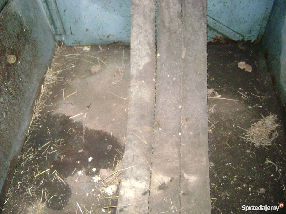 Kombajn ziemniaczany Agromet z642 Karlik sprzedam