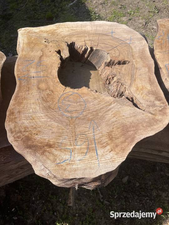 Plaster jesion orzech stolik kawowy live edge Przysucha