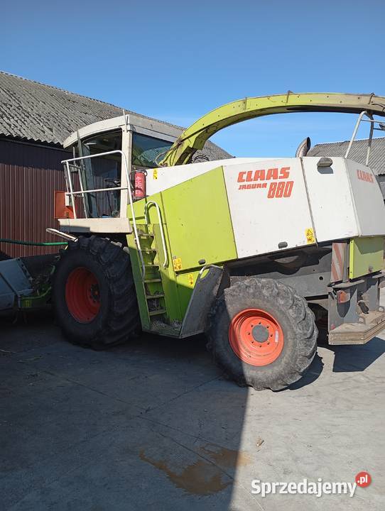 Claas jaguar 880 860 mazowieckie Sokołów Podlaski