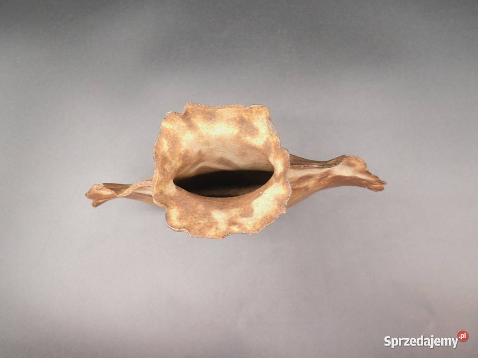 Ceramiczny wazon ręcznie wykonany z odciskiem Raszków sprzedam