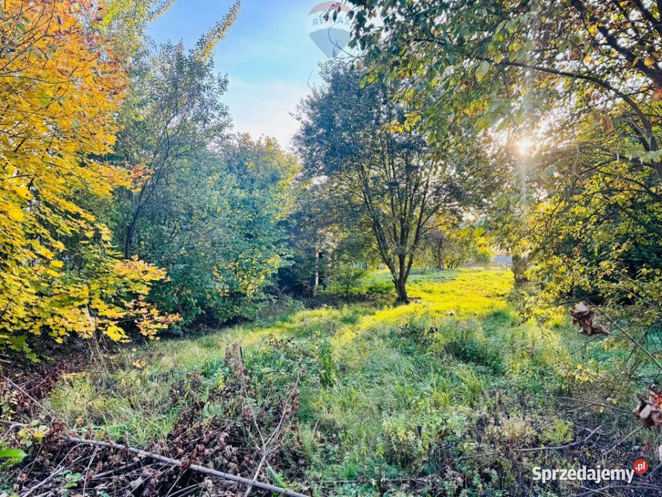 Działka budowlana 1766 m z garażem Niedobczyce Rybnik