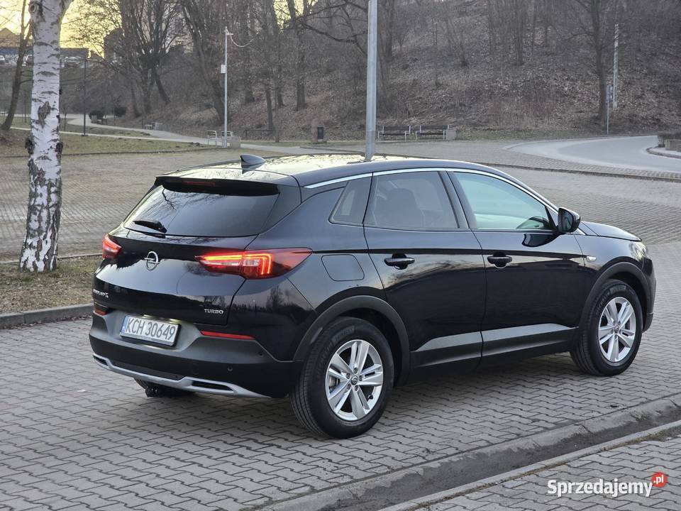 Opel Grandland X automat benzyna Grandland X podkarpackie Leżajsk