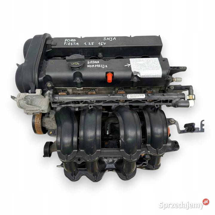 SILNIK SNJA Ford Fiesta VII MK7 125 82 benzyna Chełm