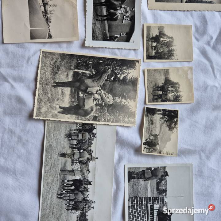 Zdjęcia niemcy na konikach II wojna 11 sztuk Brzesko sprzedam