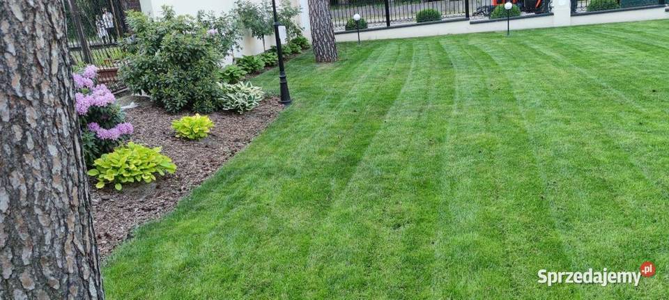 Koszenie nieużytków czyszczenie działek usługi prace ogrodowe