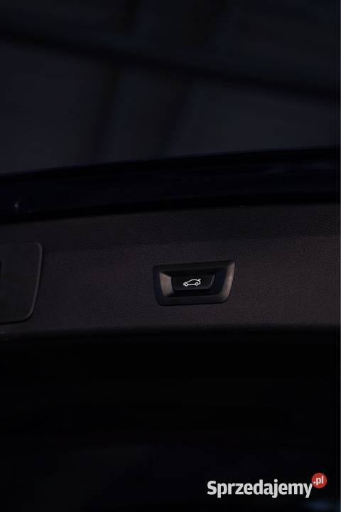 BMW x1 Panorama Led elektrochrom. lusterka boczne Puławy sprzedam