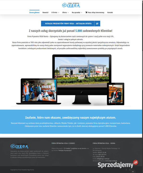 Wykonam strony www sklepy internetowe Tworzenie stron internetowych Gdynia