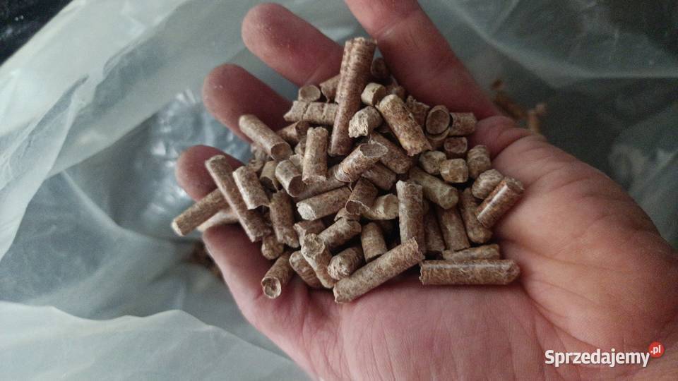 Pelleceiraka 11kw Maszyna do produkcji pelletu 3 Więcbork sprzedam