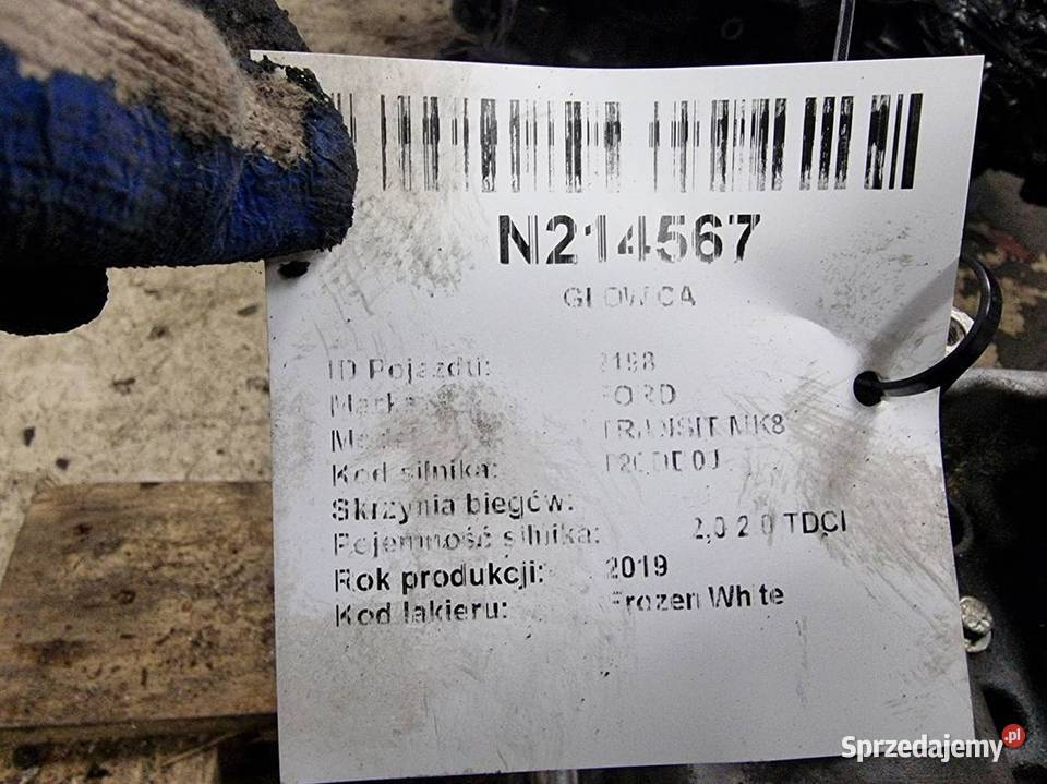 GŁOWICA FORD TRANSIT MK8 K4TEA PBHG90 kujawsko-pomorskie Lipno