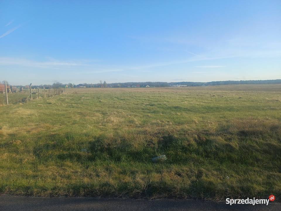 działka budowlana 1393 ara z WZ Lubieszów 125zł/m2 lubuskie