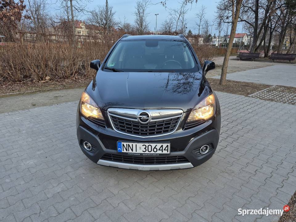 Mokka zadbany 14 Piaseczno