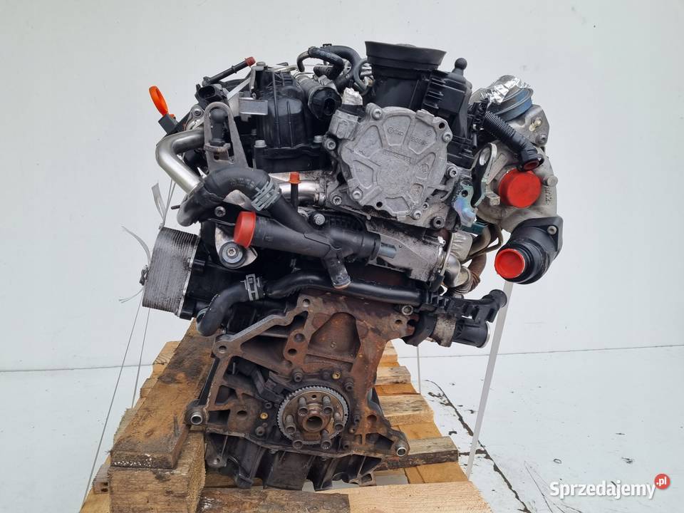 SILNIK BEZ OSPRZĘTU VW Golf VI 16 TDI 105 ładnie Rudka sprzedam