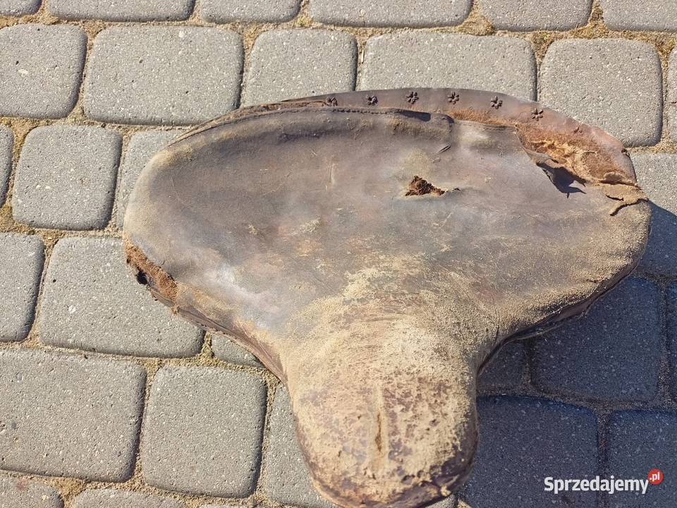 Harley WLA Bydgoszcz