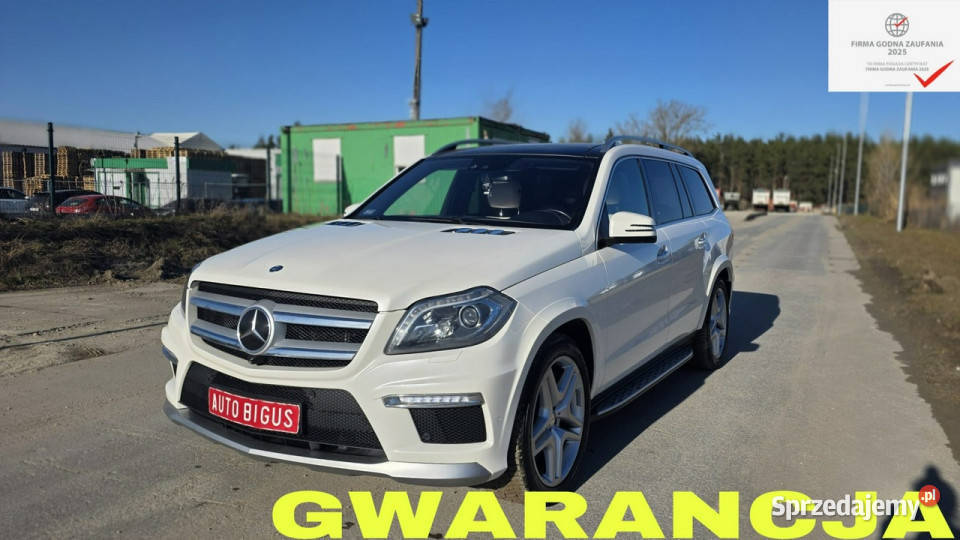 Mercedes GL 500 SALON POLSKA faktura vat biała