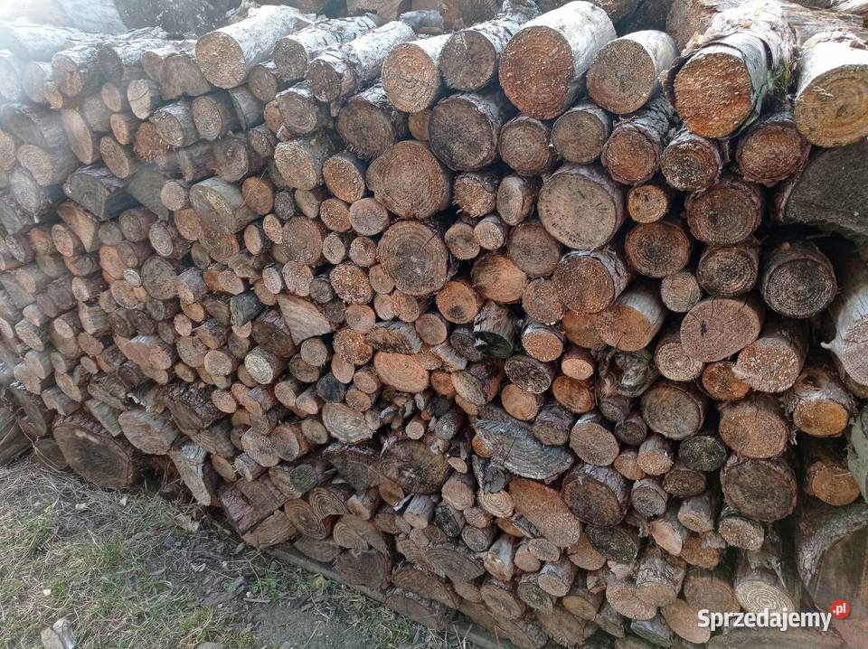 Sprzedam drzewo liściaste i sosnowe śląskie Kiełkowice