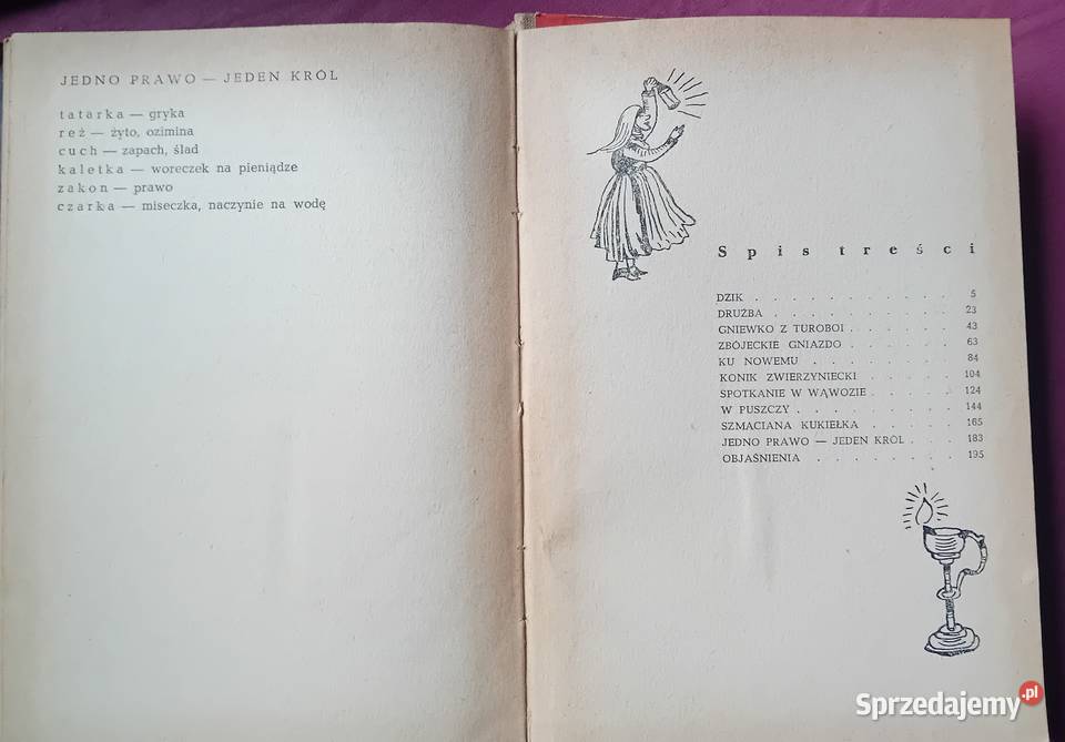 Jadwiga i Anna Chamiec Gniewko z Turoboi Wyd I Koźminek