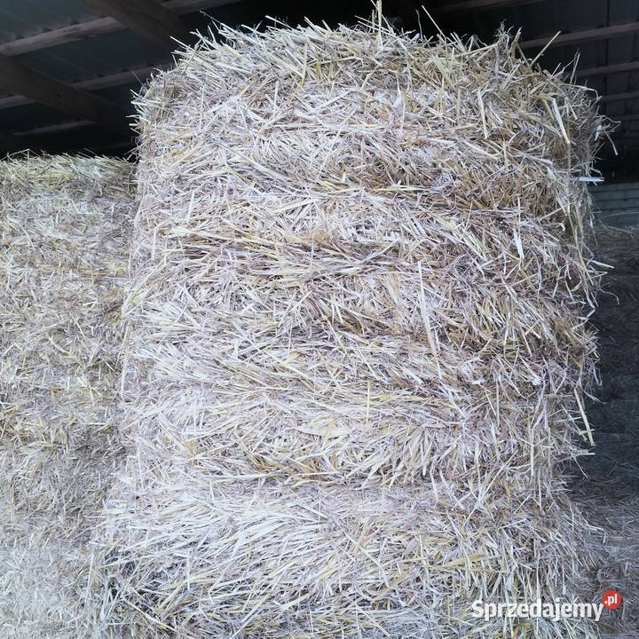 Sprzedam słomę Żytnią i Owsiankę 120120