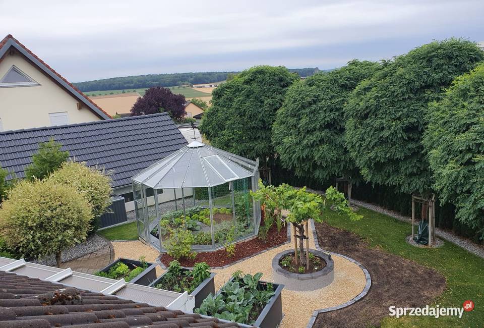 szklarnia Alicja Łobez