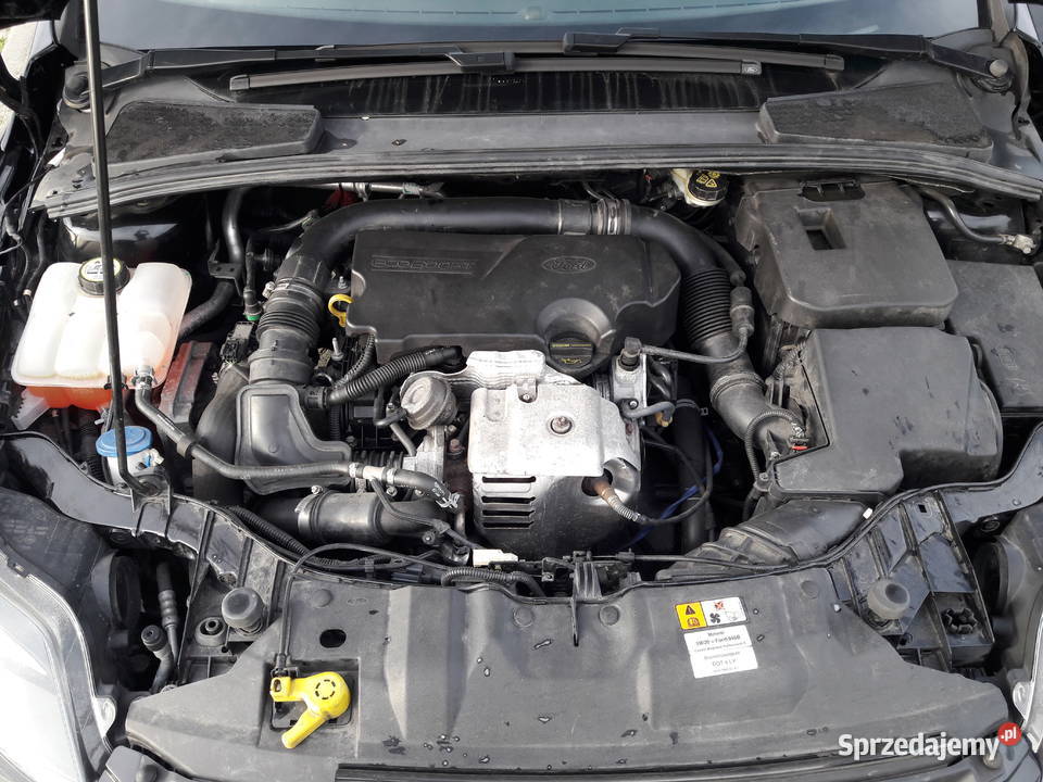 Ford FOCUS mk3 hatchback benzyna manual przebieg Pajęczno