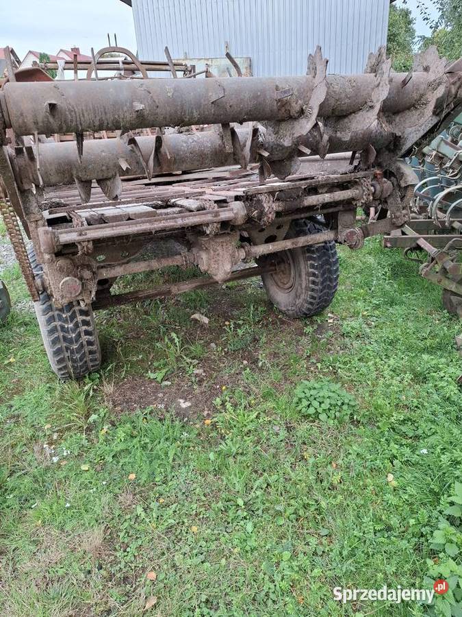 Rozrzutnik Ruski świętokrzyskie Nowa Słupia