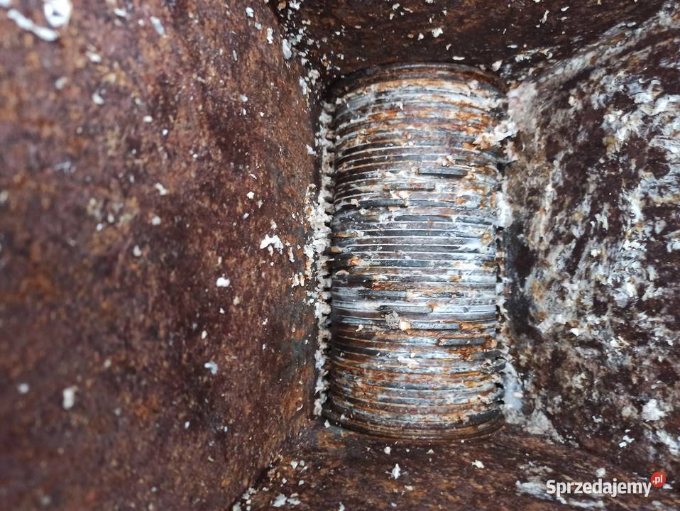 Kościarka rozdrabniacz młynek wilk Opole Lubelskie