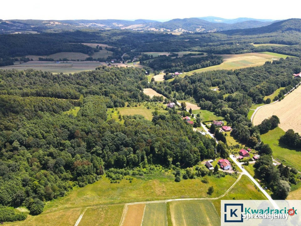 sprzedaży gruntu 4527m2 Lalin 4527m2 podkarpackie