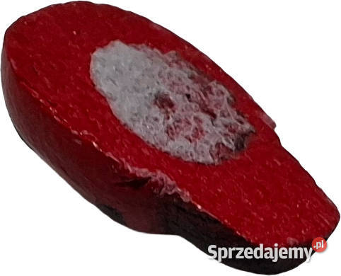 Drewniana biedronka biedroneczka 85x13mm Czeladź