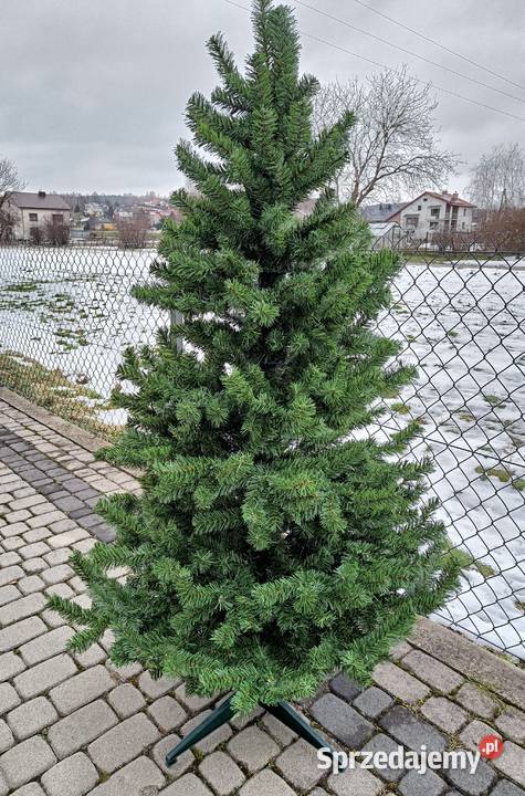 CHOINKA 180 żywa Gęsta zielona świąteczna Brzostek sprzedam
