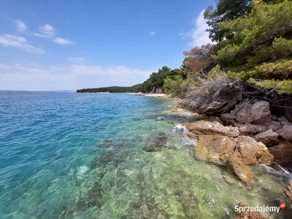 Wyjątkowo położona przyczepa kempingowa w drewno mazowieckie Warszawa