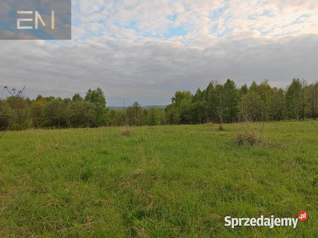 Działka Hadle Kańczuckie 33000m2 48m
