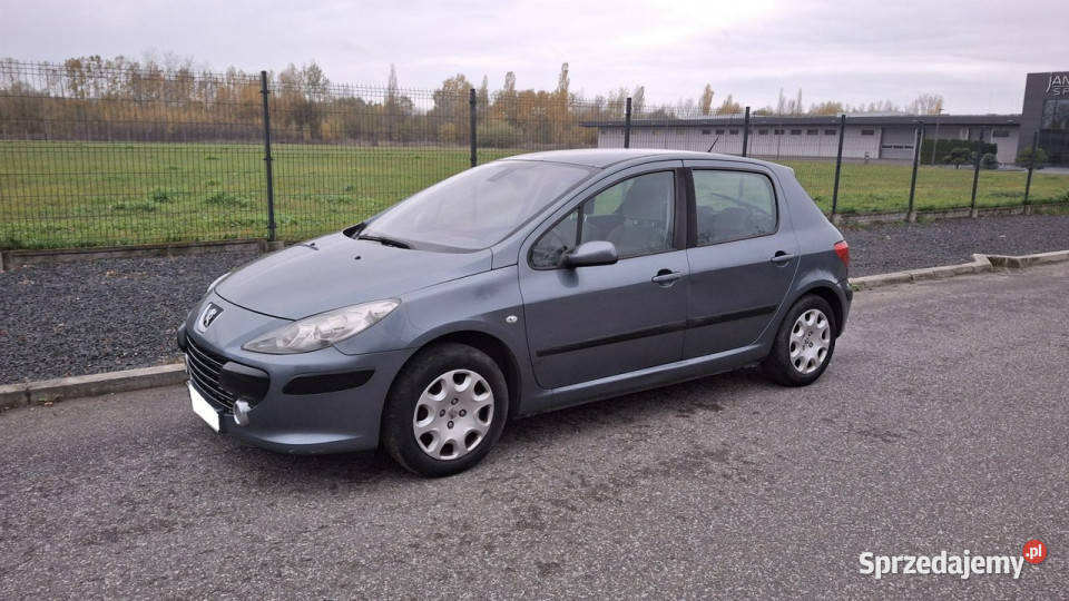 Peugeot 307 Peugeot 307 14 LPG GAZ Klima Pabianice