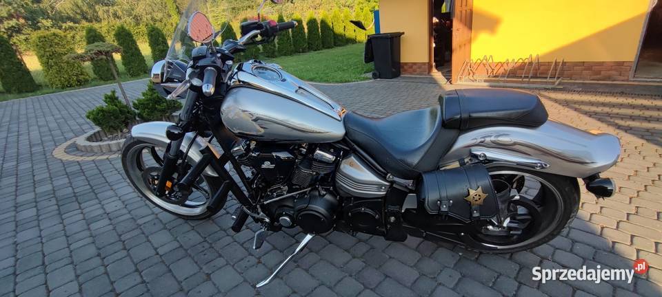 Yamaha Raider