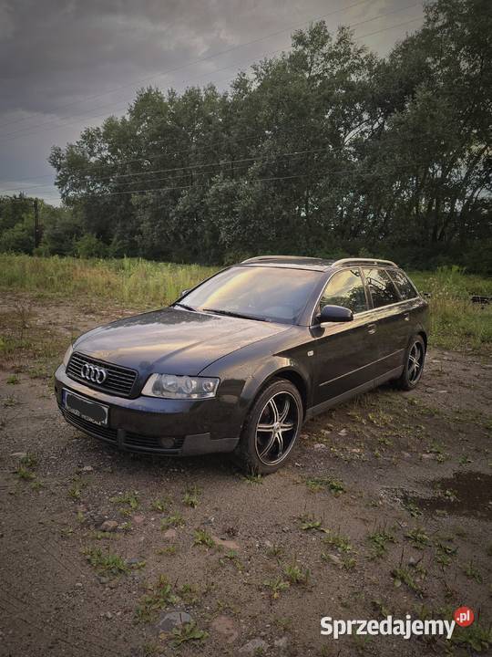 Audi a4 b6 19 150 Paparzyn