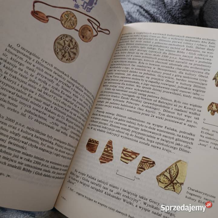 Mosty w przeszłośćarcheologiczne sensacje wielkopolskie Poznań