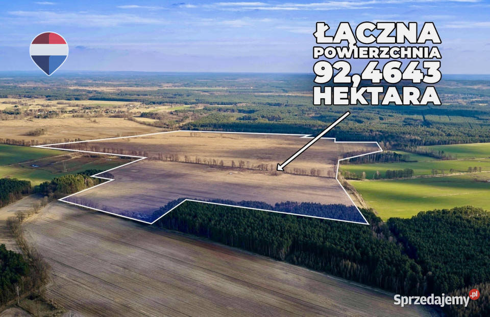 Działka rolna na sprzedaż aż 925 ha lubuskie