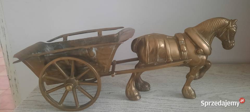 Kon z mosiadzu Poznań