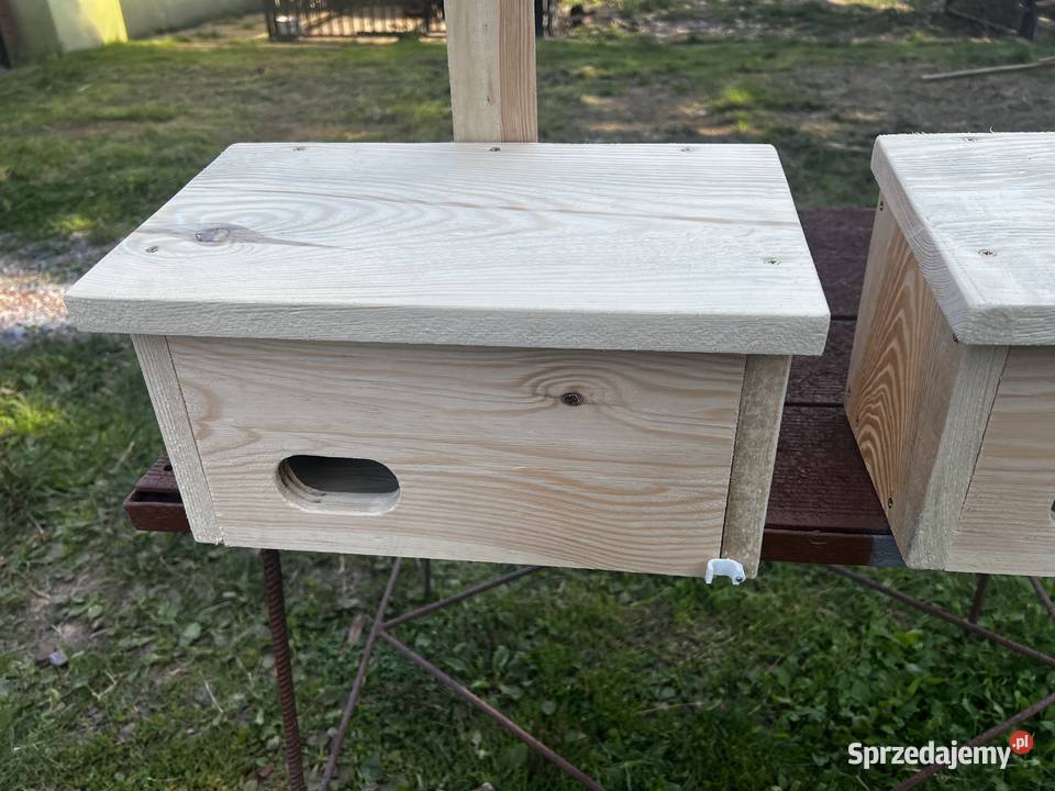 Budki lęgowe jerzyków ptaków Suchedniów