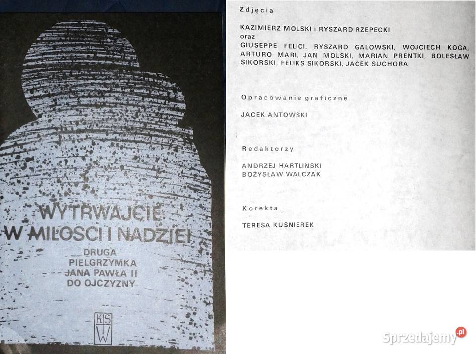 Wytrwajcie w miłość Druga pielgrzymka Jana Pawła miękka z obwolutą lubelskie Chełm