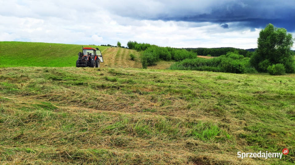 Działka z Warunkami Zabudowy 2245 ha Żabin gm 224483m2