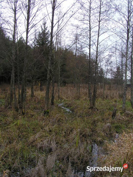 Zlecę wykonanie zbiornika rekreacyjnego