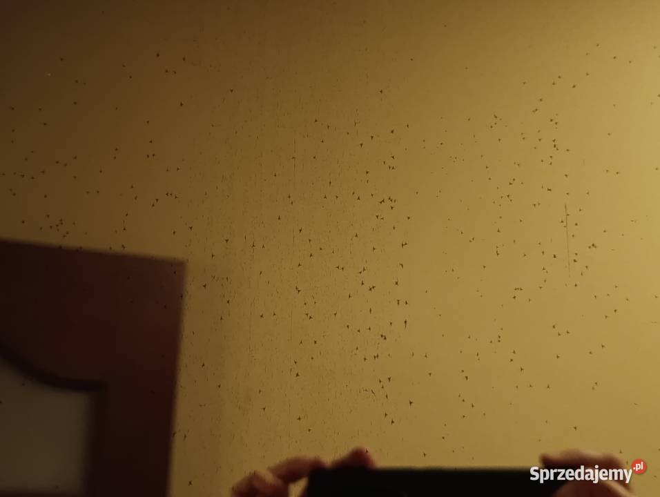 szafa z drzwiami przesuwnymi mega pilna sprzedaż sprzedam