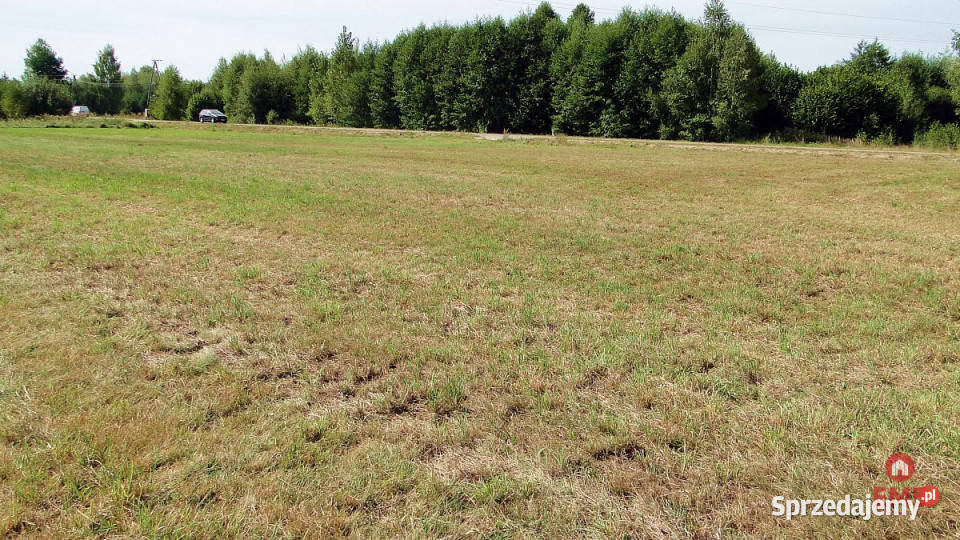 sprzedaży gruntu 1500m2 Hołówki Duże