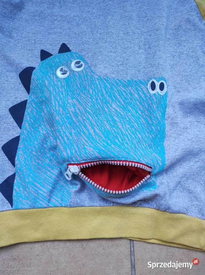 bluza dinozaur kolorowa dziecięca kieszonka