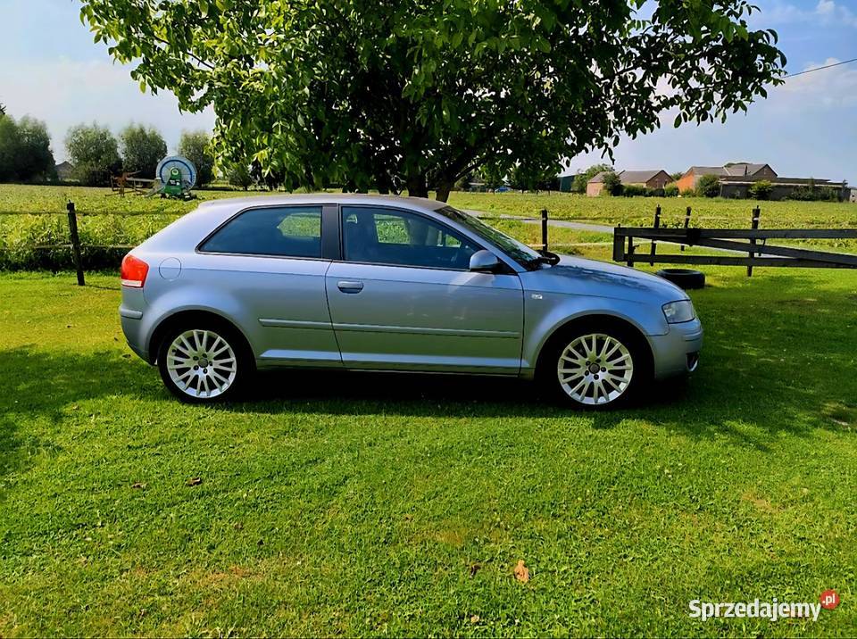 Audi A3 Typ 8P Ambition lubelskie Lubartów